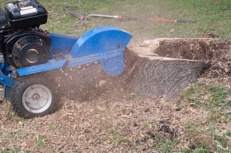 Stump Grinding