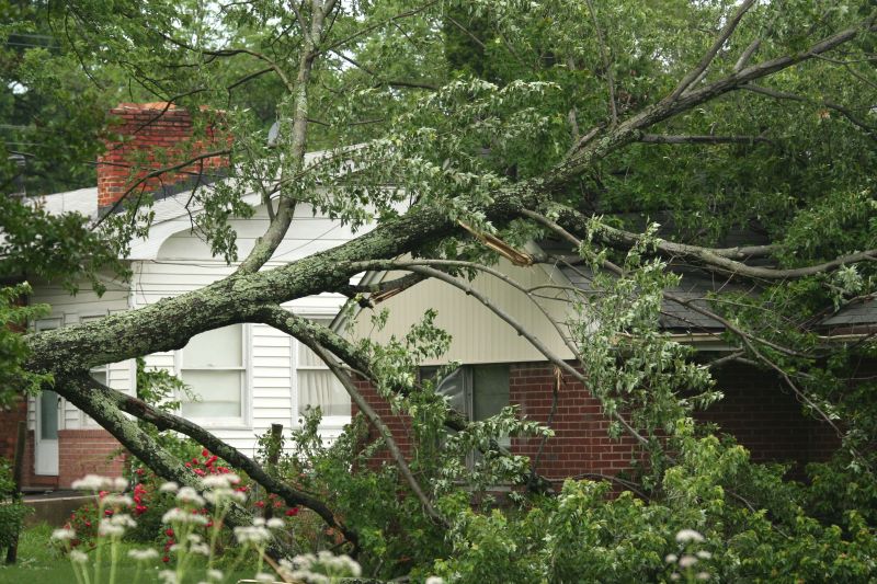 Emergency Tree Removal in Duluth, MN