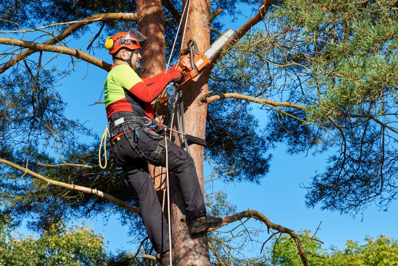 Tree Cutting Safety Gear