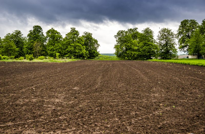 Field Clearing in Katy, TX