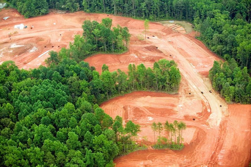 Lake Lot Clearing in Gwinnett County, GA