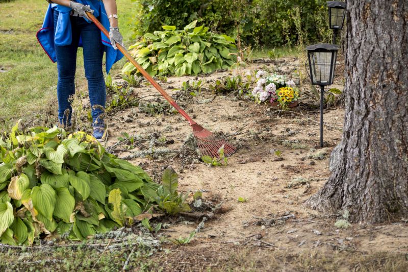 Property Line Clearing in Gwinnett County, GA